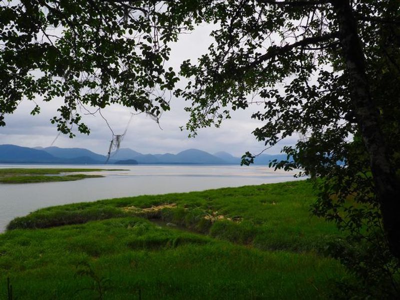 Scenery around Mallard Slough Cabin