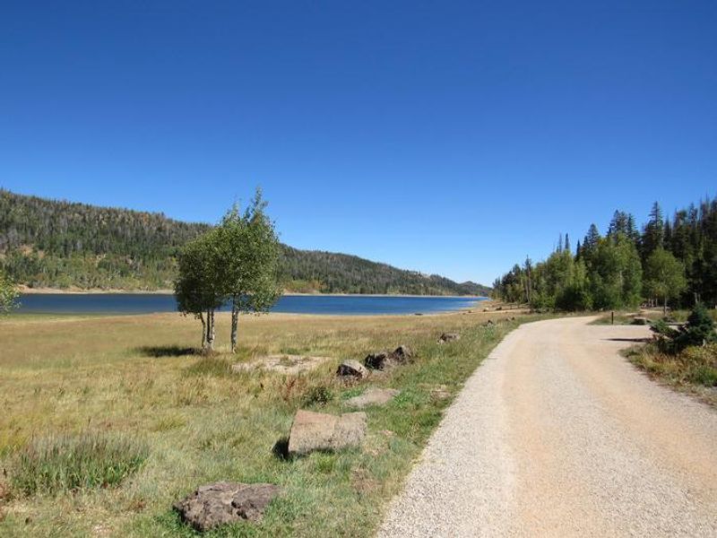 Lower campground road.  