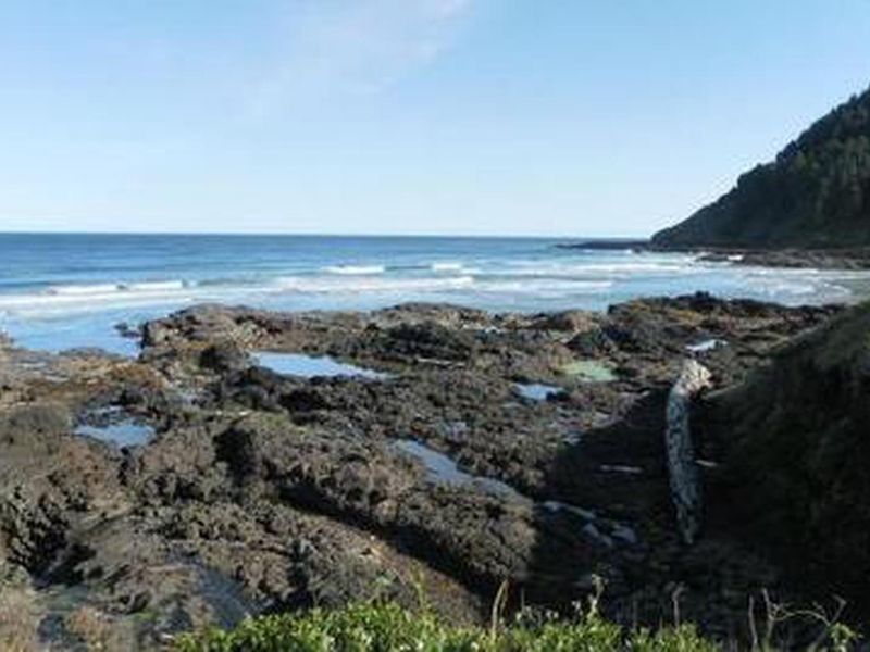 Cape Perpetua