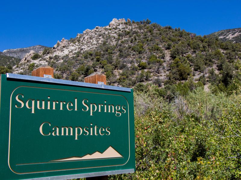Squirrel Springs, one of six primitive campgrounds, located in the Snake Creek area.