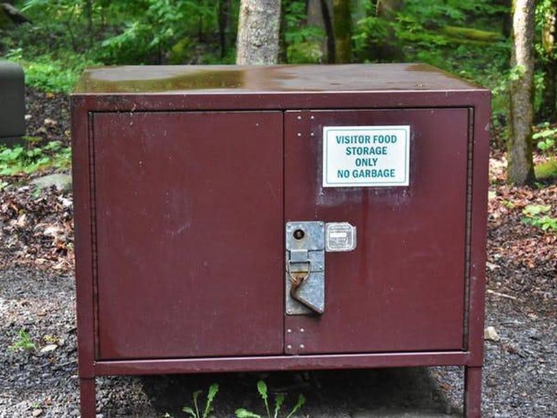  Big Creek is close to Harmon Den sanctuary so be sure to put your food in the storage box if you cannot secure it in your vehicle. This is mandatory for your and bear safety. 