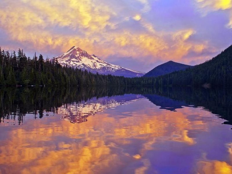 Dreaming of summer sunsets of stunning shades of pink and purple.