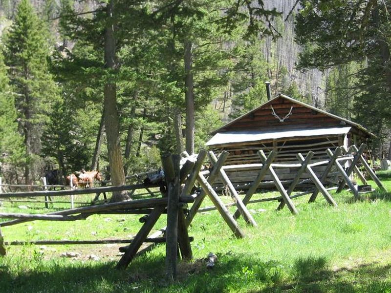 Room for a few horses