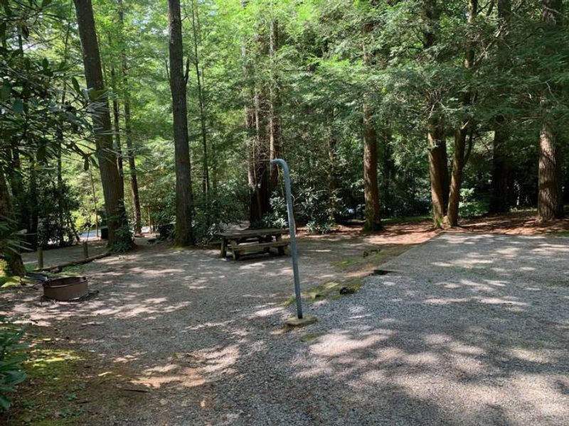 One of the many campground at van hook glade