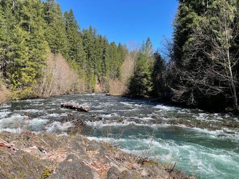 The Middle Fork flows nearby the campground, with trails in the campground leading to the banks of the river.