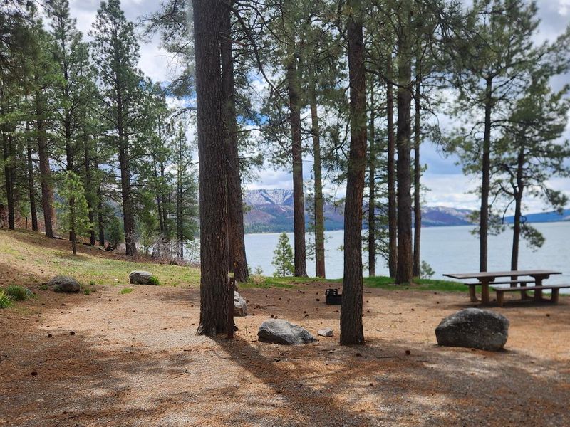 A Premium lake-side site with pine trees