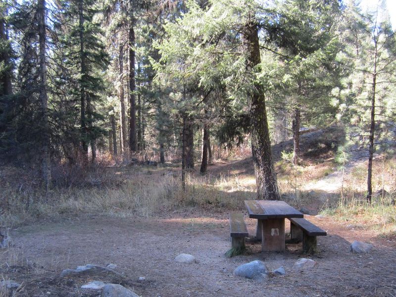Ten Mile Site 6 is surrounded by forest.