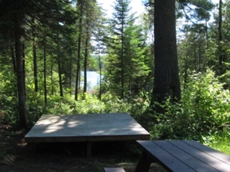 Campsites have tent platforms, tables and shade trees.
