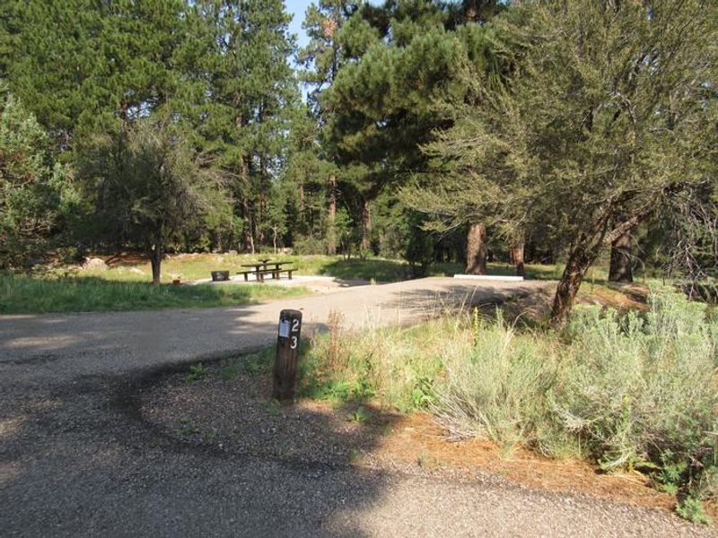 Dean Gardner campsite #23