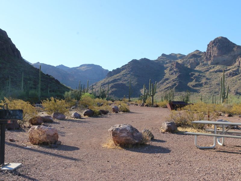 Many visitors seeking seclusion and solitude enjoy the Alamo Canyon campground.