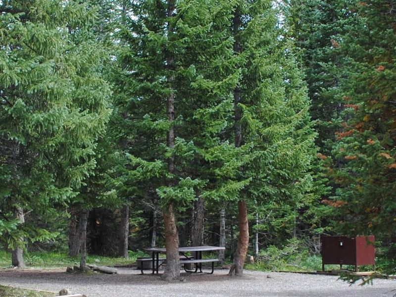 Shepherds Rim Campground 