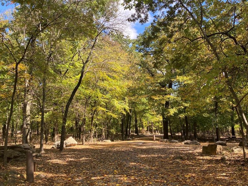 Cold Springs Campground during Autumn 
