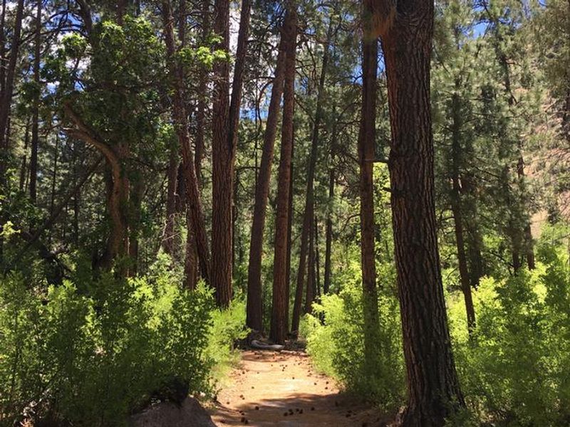 Bandelier National Monument is home to over 70 miles of hiking trails of varying distances and difficulties.