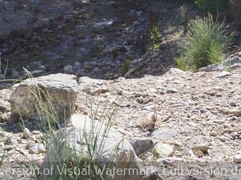 Boy Scout Campground