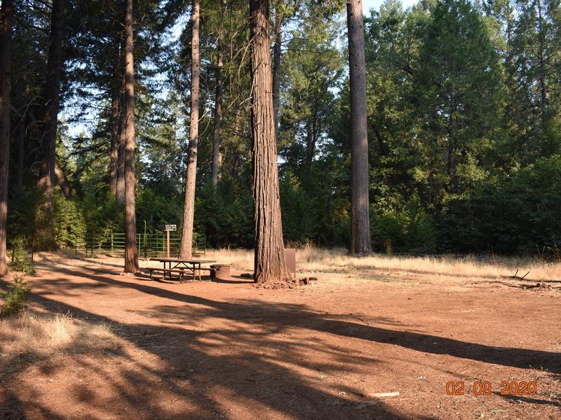 Camp site 9 is one of the larger campsites.