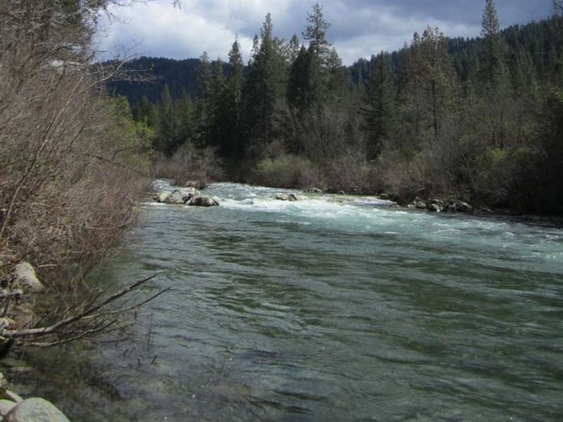 Fiddle Creek Campground View