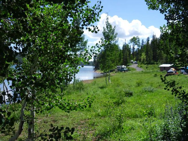 Try fishing from the shore!