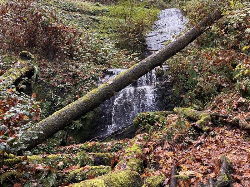Waterfall on Elliott State Forest land accessed from Loon Lake day use area.
