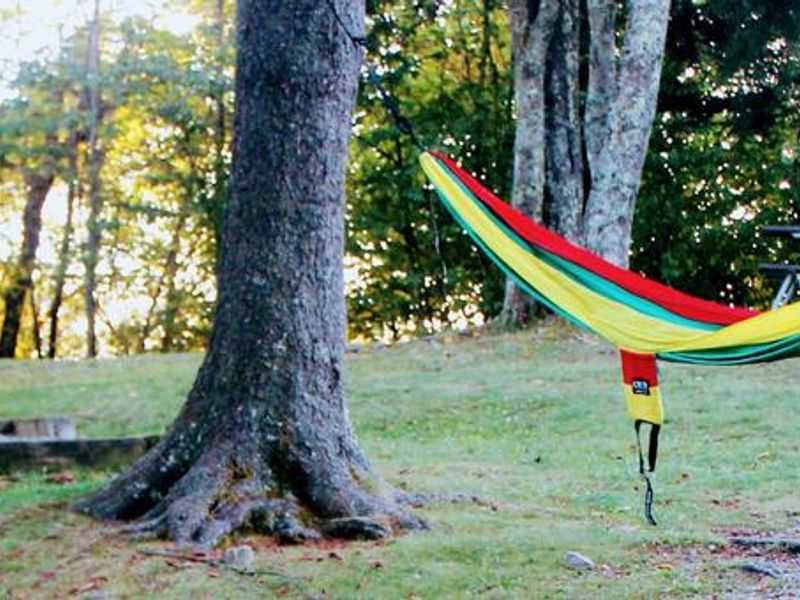 BALSAM MOUNTAIN campsite showing tent and hammock camping