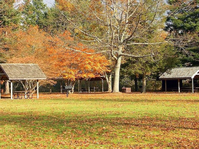 Summertime is over, but families can still enjoy all that Mud Mountain Dam Park has to offer as the scenery changes.