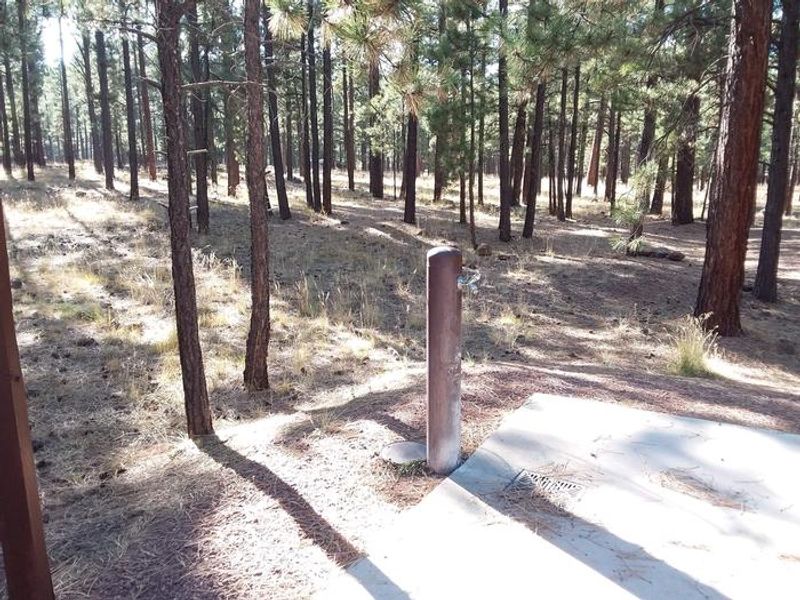 HOYER Grouse Loop Water Spout