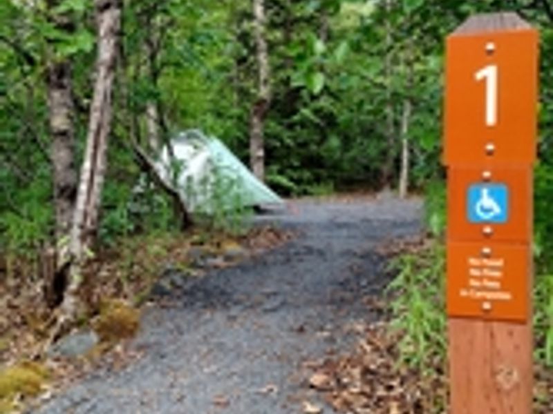 Sites #1 and #12 are both ADA accessible sites, with wide paths and space for tents.