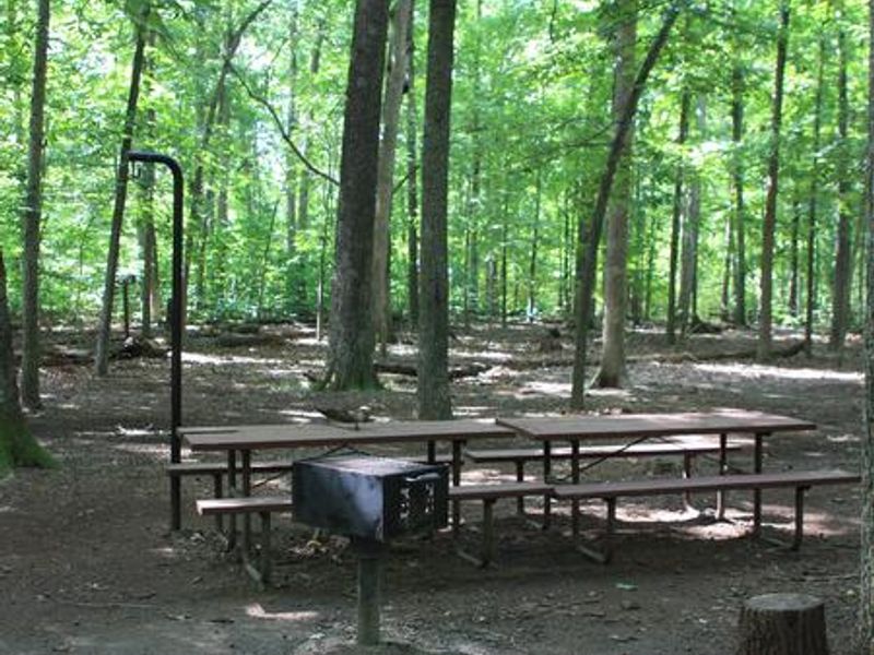 Campsite with picnic tables, lantern holder and grill