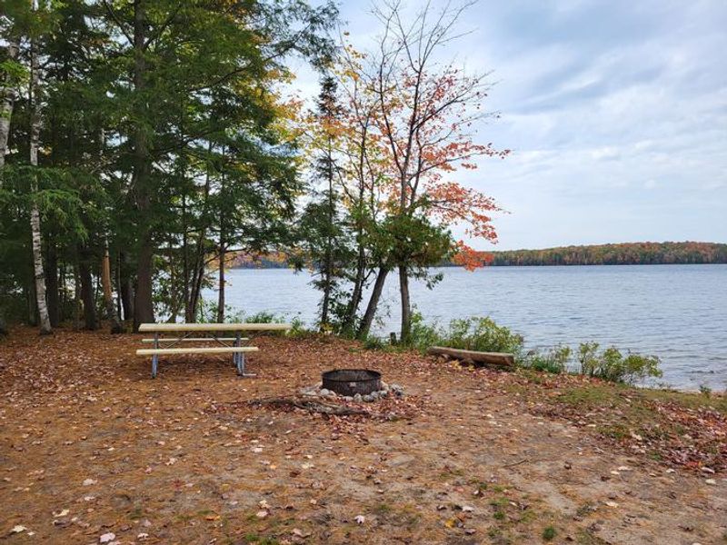 Campsite 1 located at Triangle Lake