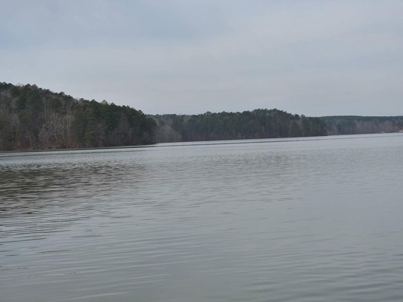 Lewis Smith Lake and the fish await
March 1st, 2020