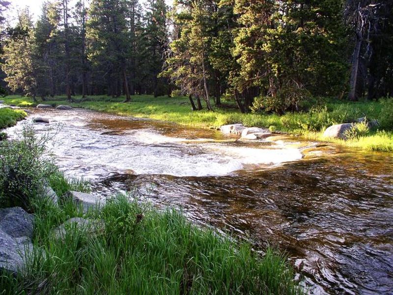 River near Dead Swede