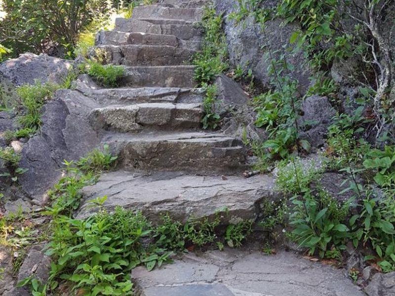 Some Trail Steps on Trail up to Sharp Top Mountain