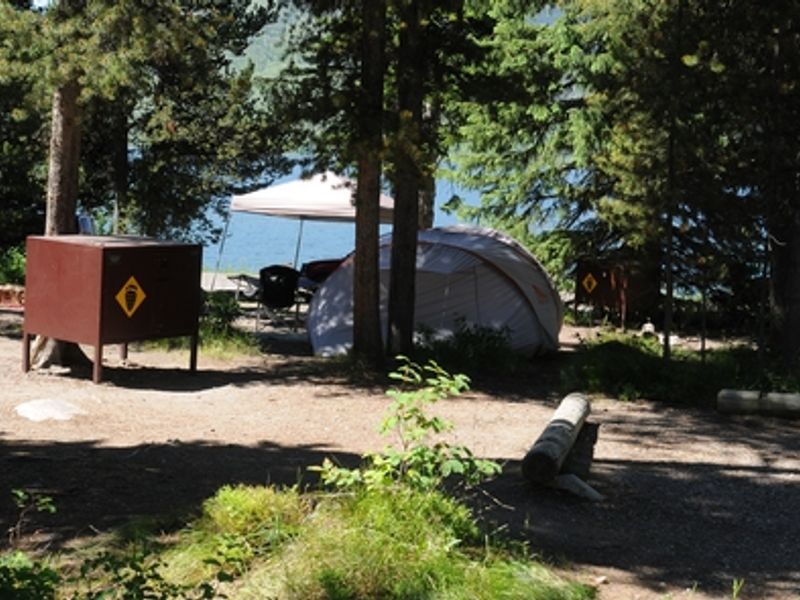 Quiet campsites near the lake