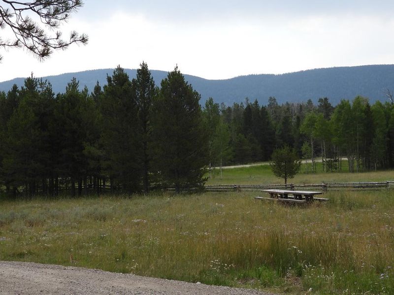 Red Springs Campground - Meadow