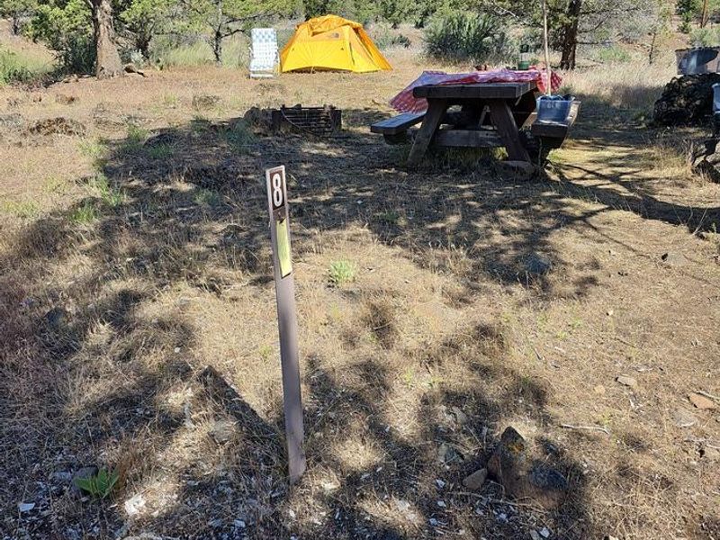 Typical walk-in campsite at Muleshoe Campground
