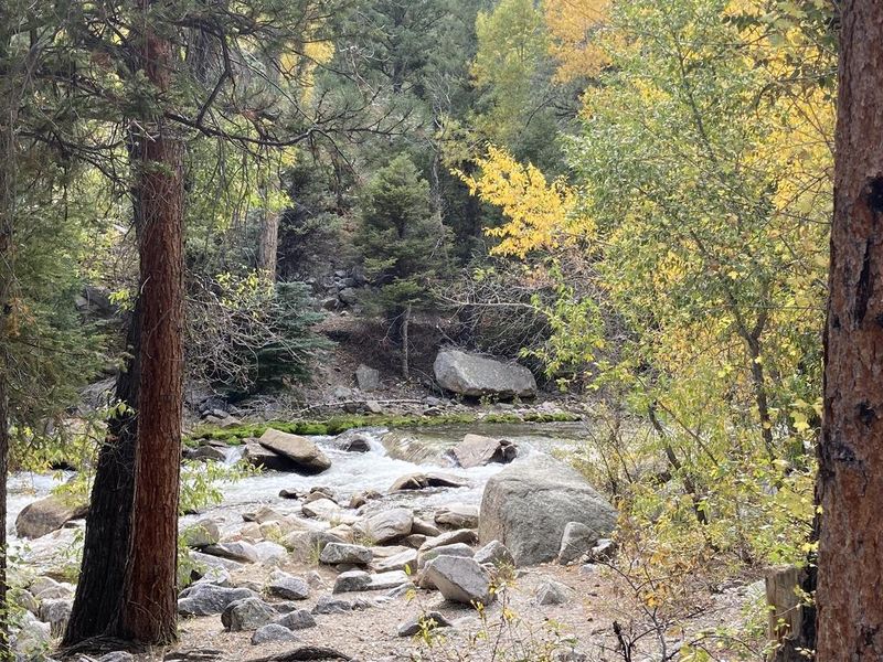 View of creek from a campsite in campground.
