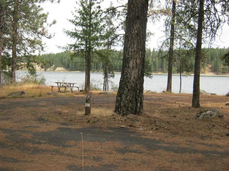Campsite with trees and river in the background