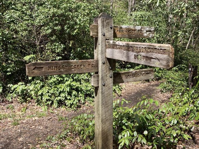 Trail junction, Park Creek Trail and Kimsey Creek Trail