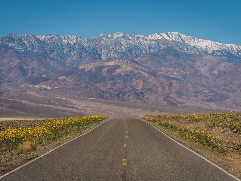 Spring in Death Valley