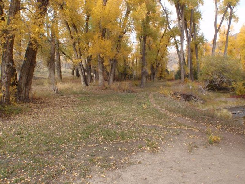 Tent site 2, to right after bridge