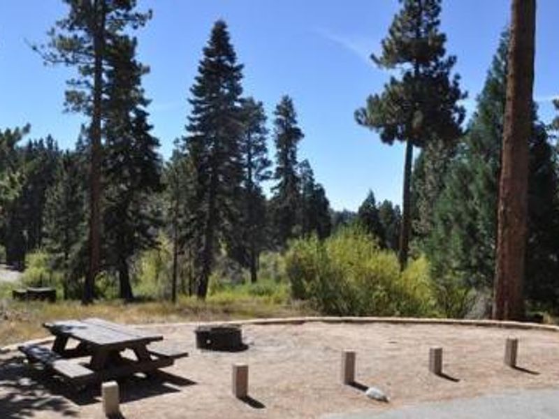 Picnic Table & Fire Ring at Green Valley Campground