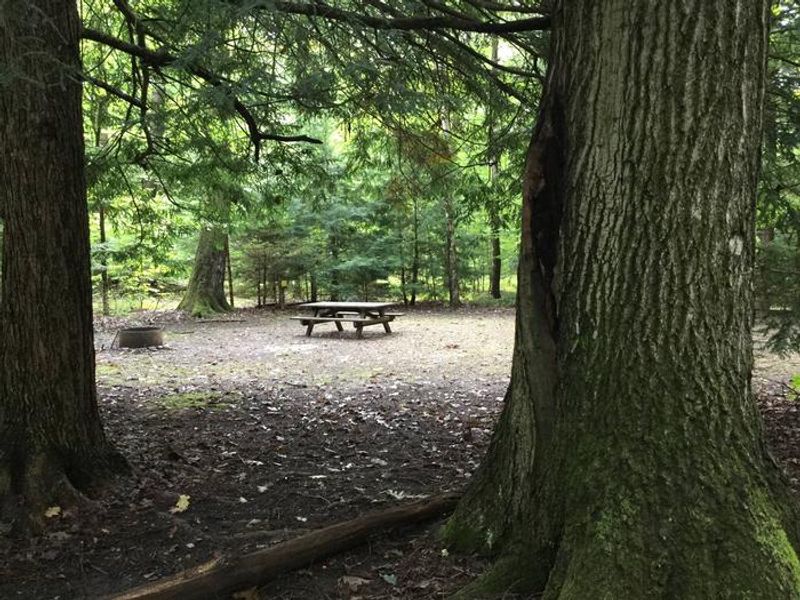 Hearts Content Recreation Area