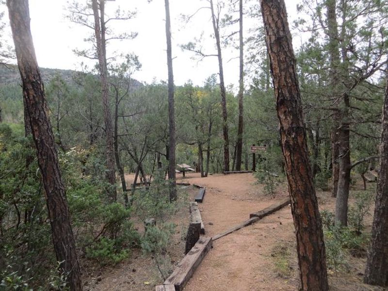 Christopher Creek Campground picnic area 