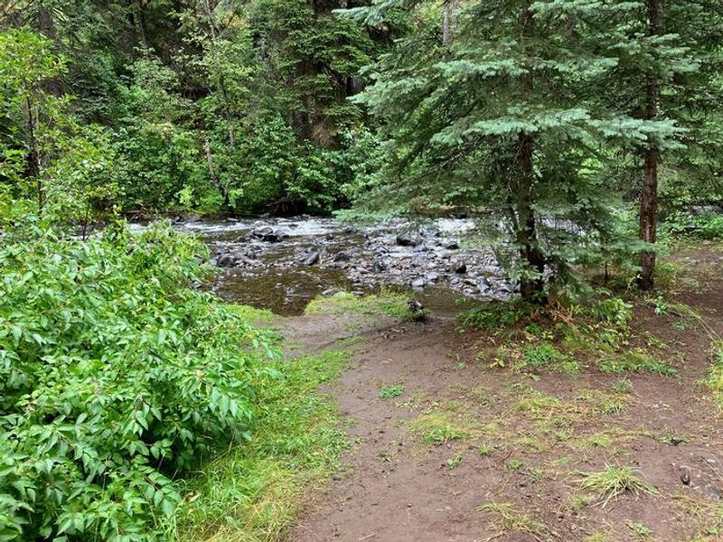 North Fork Catherine Creek is adjacent to the group campground.