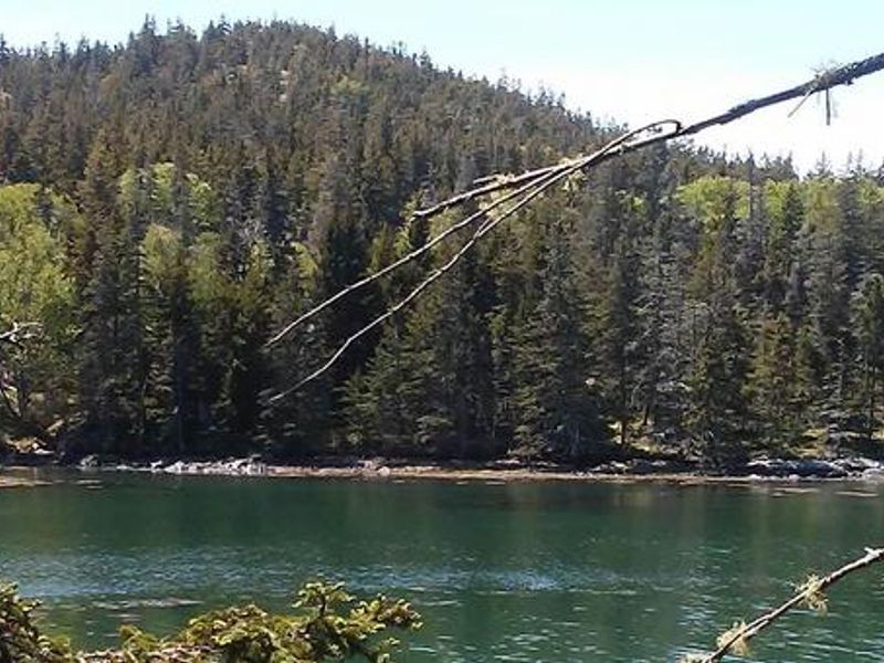 Duck Harbor and Duck Harbor Mountain