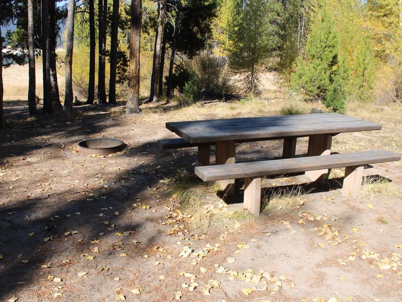 Site table and fire ring