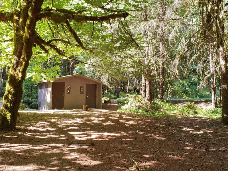 Accessible vault toilet