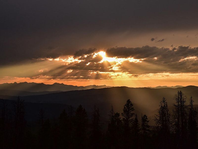 view from McCart Lookout catwalk