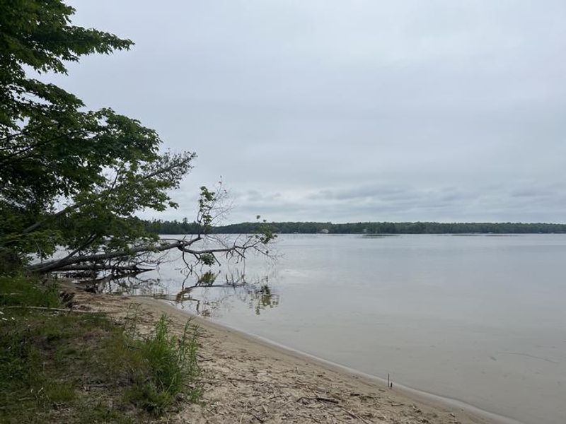 A photo of facility BREVOORT LAKE CAMPGROUND with Waterfront at picnic area
