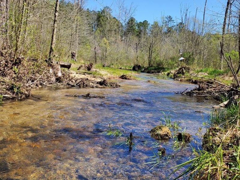 View from Spring Branch from Pocket Picnic Area Entrance.