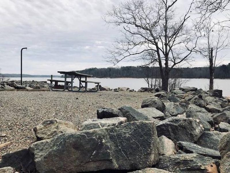 Welcome to Buffalo Park! This picture is of campsite #21. It is one of the many beautiful campsites that Buffalo Park has to offer. This site specifically is a primitive campsite. Therefore, it does not have a water hook up or electric. 